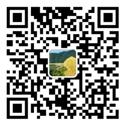 乐发ii下载app